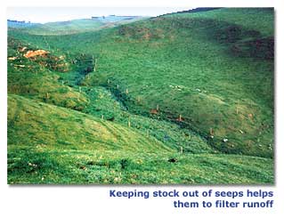 Photo of fenced seep on farm land