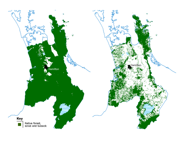 Image showing two maps of current and historic regional indigenous vegetation in Waikato