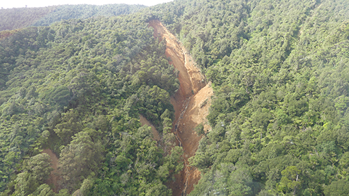 Darkie Stream top of Moehau