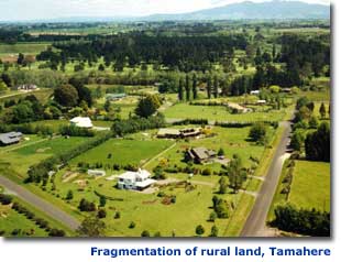 Image showing fragmentation of rural land in Tamahere