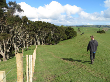 An image of a male walking on a field