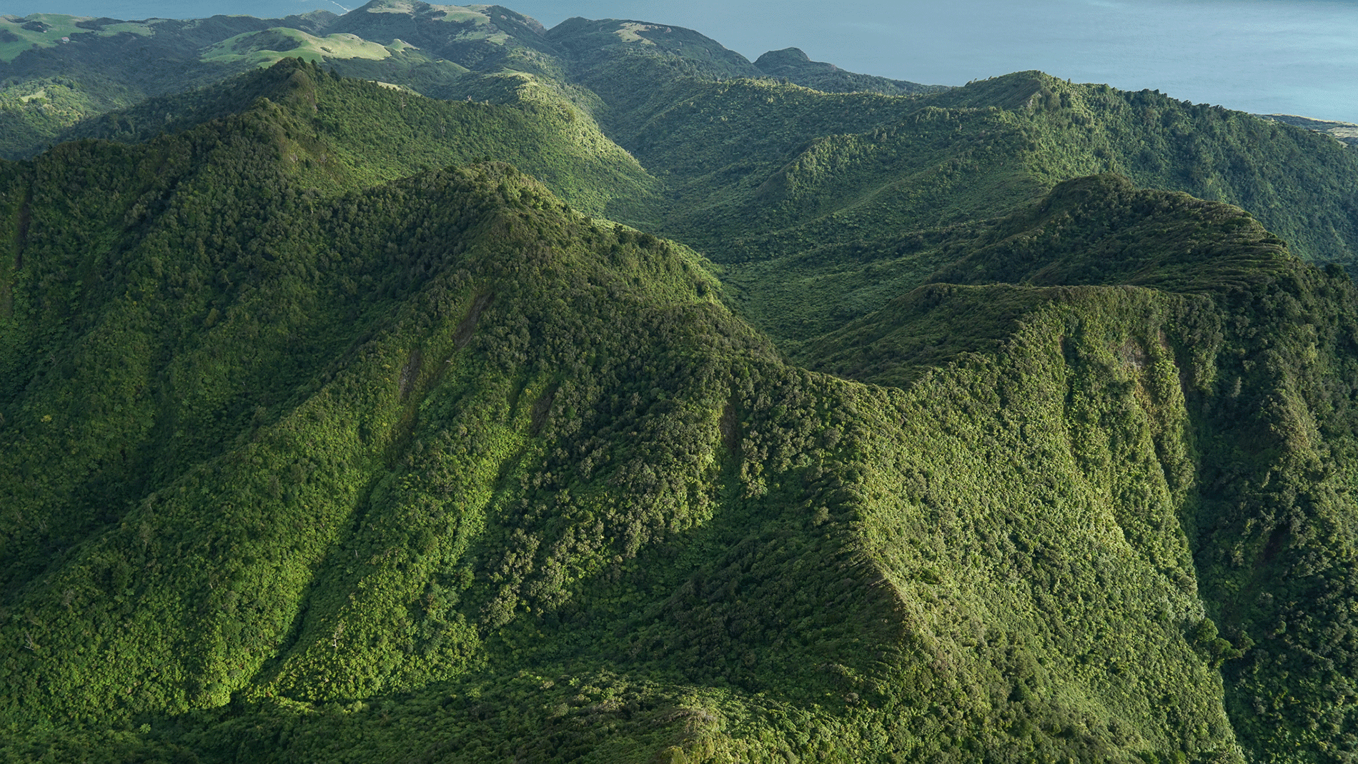 Image - Aerial photo of Mt Karioi and its surroundings