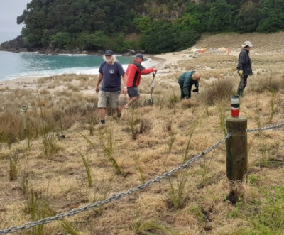 Image of several people planting bushes on a beach
