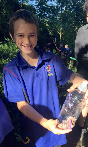 StoryHub Tradescantia Beetles displayed by Maeroa intermediate students