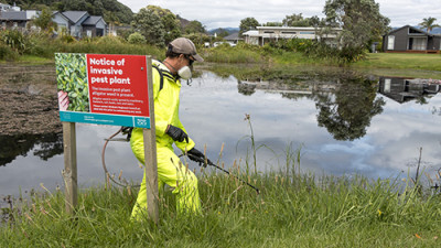 Image of a man spraying weeds next to a river