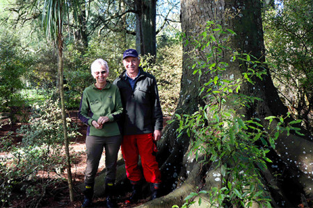 Annette and Ken Arnold were the first landowners in the Waikato to do a Kahikatea Green Wheel assessment of a kahikatea stand.