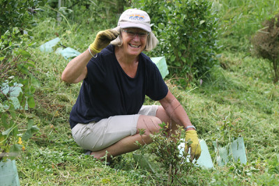 Close up of Sue planting