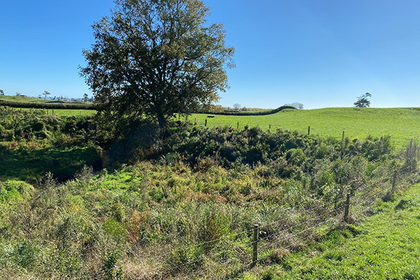 Final step involves fencing and planting of the Tukatāpere Stream section