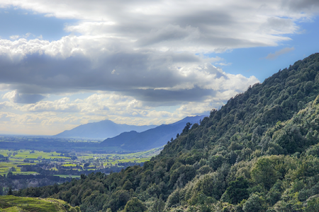 View from Te Tuhi Track.