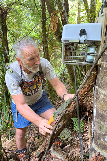 Volunteer checks automatic trap at eye level 