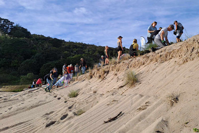 A community planting bee at Rings Beach in June 2024. 