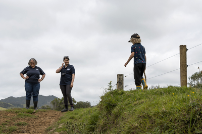 Council staff admire the fencing on the Waikawau Bay property