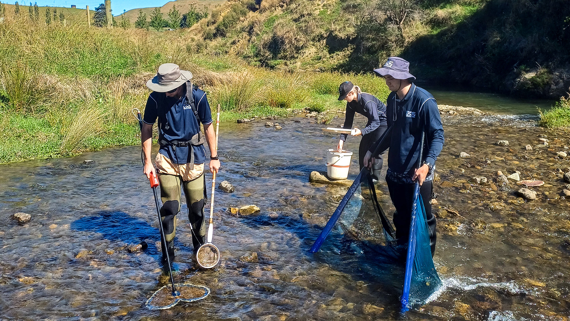 Image - Working at Waikato Regional Council