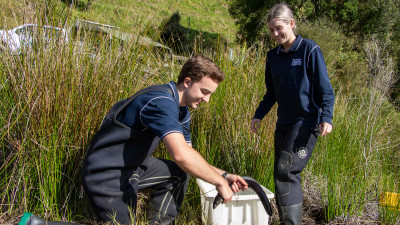 Image - Working at Waikato Regional Council