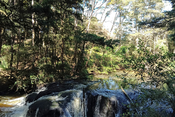 A small stream waterfall