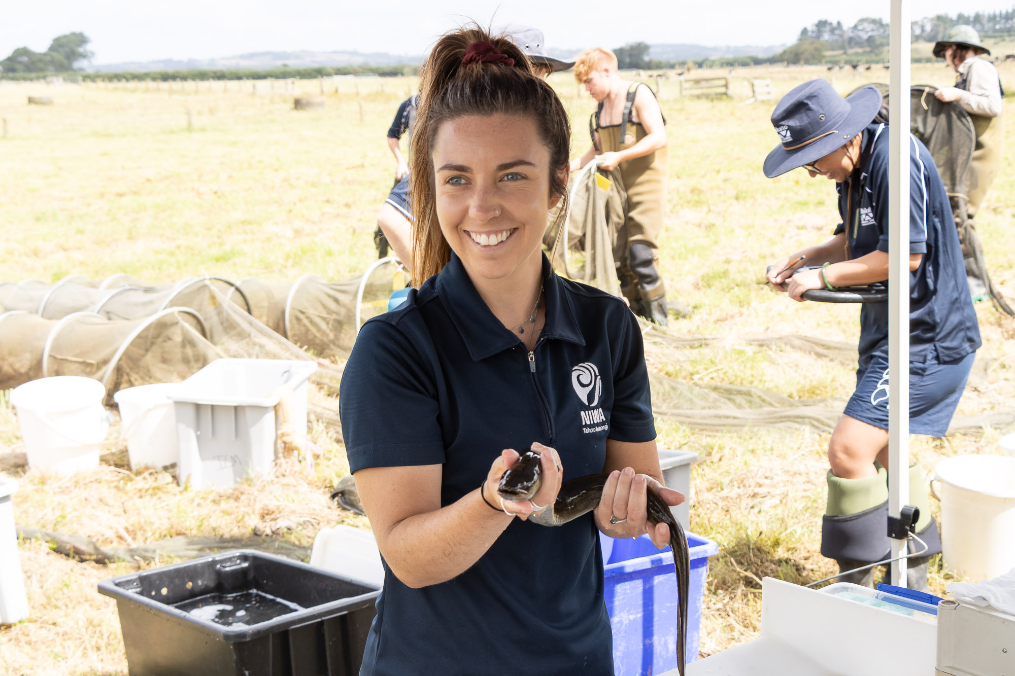 NIWA freshwater fish technician Emily White tags the eels for monitoring. 