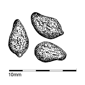Image - actual scale graphic of dama wallaby poo